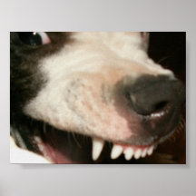 landshark poster