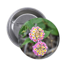 Lantana español Camara de la bandera Pin