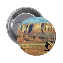 Lanzamiento del cóndor pins