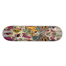 Laprisamata humano tablas de skate