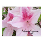 Las azaleas rosadas suaves - gracias postal