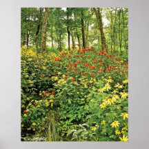 Las colinas están vivas con los Wildflowers Poster