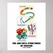 Las estructuras múltiples de la proteína (biología impresiones