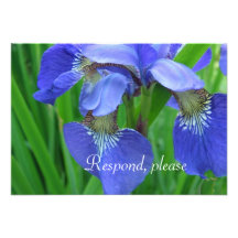 Las flores azules bonitas del iris que casan RSVP  Invitación Personalizada