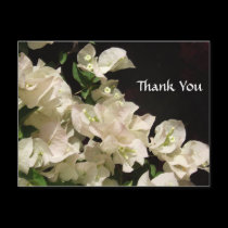 Las flores blancas del Bougainvillea le agradecen  tarjetas postales