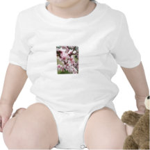 Las flores de cerezo agrupan la primavera camiseta