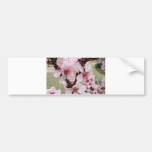 Las flores de cerezo agrupan la primavera pegatina de parachoque