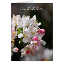 Las flores de cerezo consiguen bien pronto tarjetas