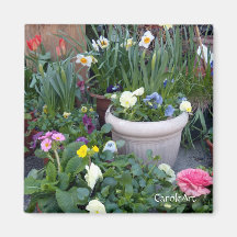 Las "flores del bonito palidecen imán del pote"