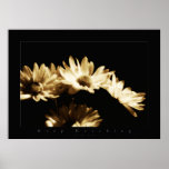 las flores guardan el alcanzar poster