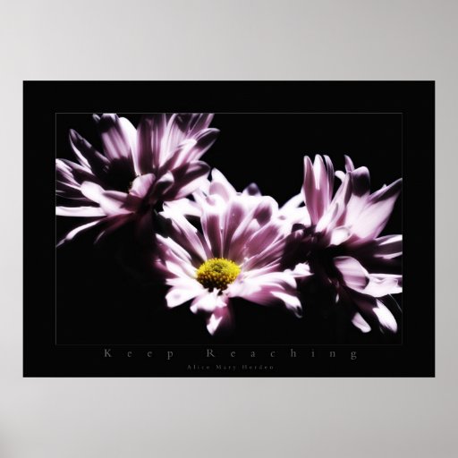 las flores guardan el alcanzar poster