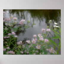 Las flores salvajes rosadas acercan al poster de l