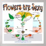 Las flores son atractivas posters