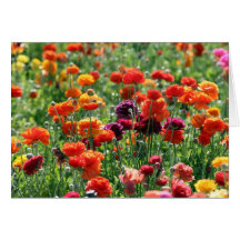 Las flores y consiguen pronto la tarjeta bien