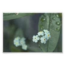 Las gotas de agua guardan el caer fotografia