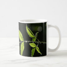 las hojas con agua caen la taza