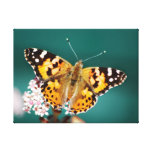 Las mariposas están libres impresiones en lienzo estiradas