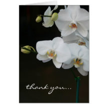 Las orquídeas blancas le agradecen tarjetón
