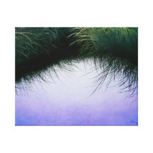 Las "pestañas de la naturaleza " lona estirada galerías
