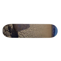 Las rocas resbalan de hecho a través del viento de patinetas personalizadas
