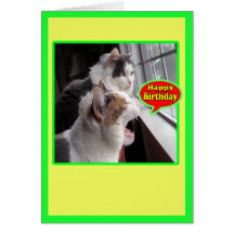 Las tarjetas del gato, feliz cumpleaños divertido 