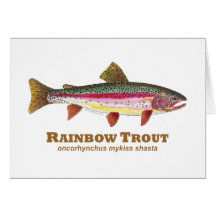 Latín de la trucha arco iris felicitaciones