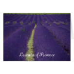 Lavanda de Provence Felicitaciones