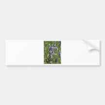 Lavanda Pegatina De Parachoque