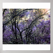 lavanda impresiones