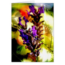 Lavanda y collage del moho - tarjeta