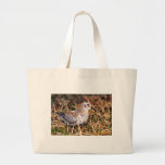 Lavandera de la roca bolsa