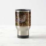 Lavandera de la roca taza