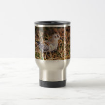 Lavandera de la roca taza