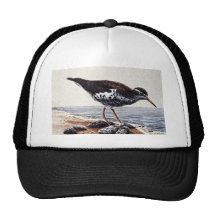 Lavandera Gorro De Camionero