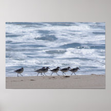 Lavanderas en la playa poster