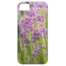 Lavendel iPhone 5 Etui