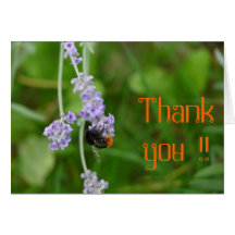 Lavendel mit Hummel Danke Grußkarte