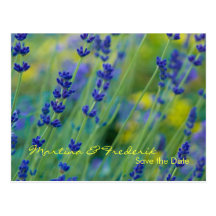 Lavendel • Save-the-Date-Postkarte
