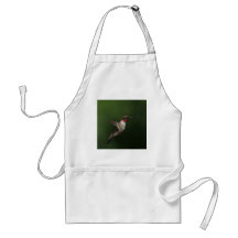 Lazo del colibrí delantales