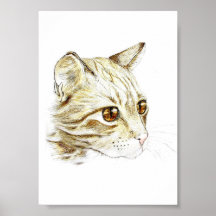l'Chat Impresiones