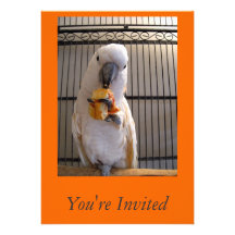 Le invitan invitacion personalizada