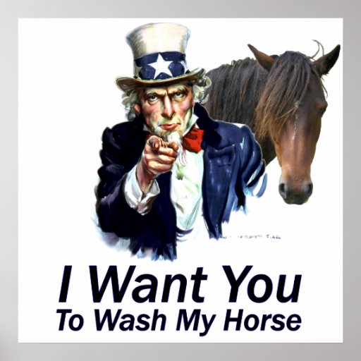 Le quiero:  Para lavar mi poster del caballo