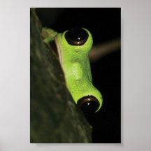 Le veo… poster