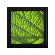 Leafprint verde fresco cajas de recuerdo