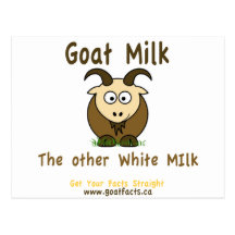 Leche de la cabra, la otra leche blanca Producst Tarjeta Postal