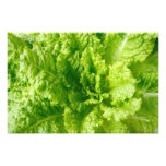 Lechuga Arte Fotografico
