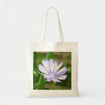 Lechuga azul bolsas