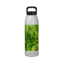 Lechuga Botellas De Agua Reutilizables