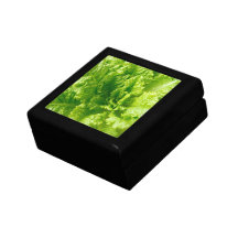 Lechuga Cajas De Joyas