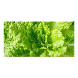 Lechuga Tarjeta Personal